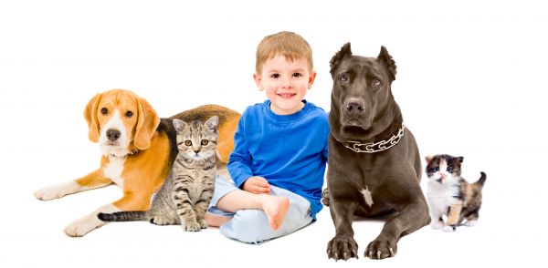 Omaha Pets